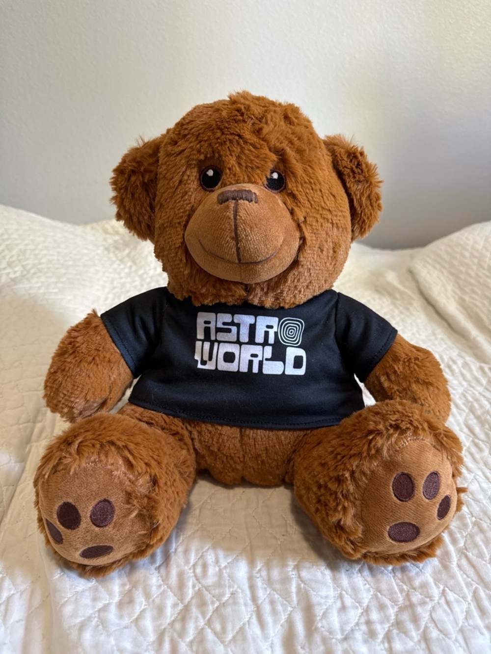 AstroWorld Brown Plush Teddy Bear with Black Tee